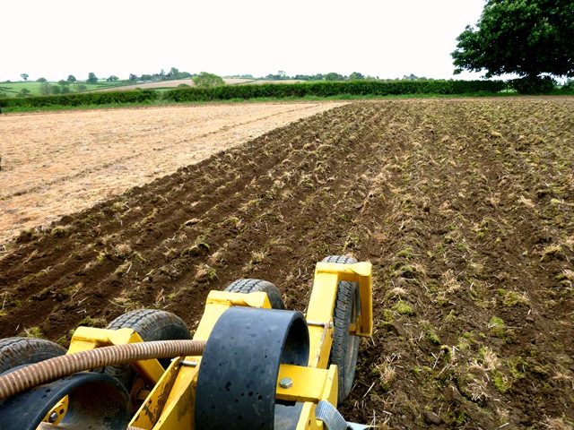 Claydon Seed Drill in action